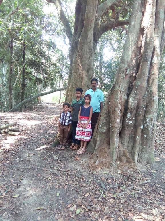 Wayanad Homestay Манантавади Екстериор снимка